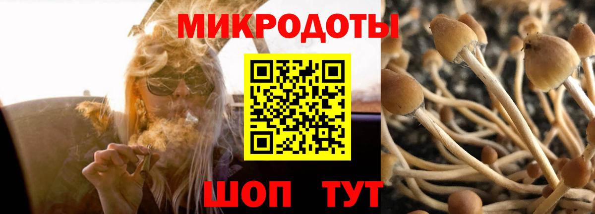 где купить наркотик  Вход с VPN  Советск  Галлюциногенные грибы мицелий 